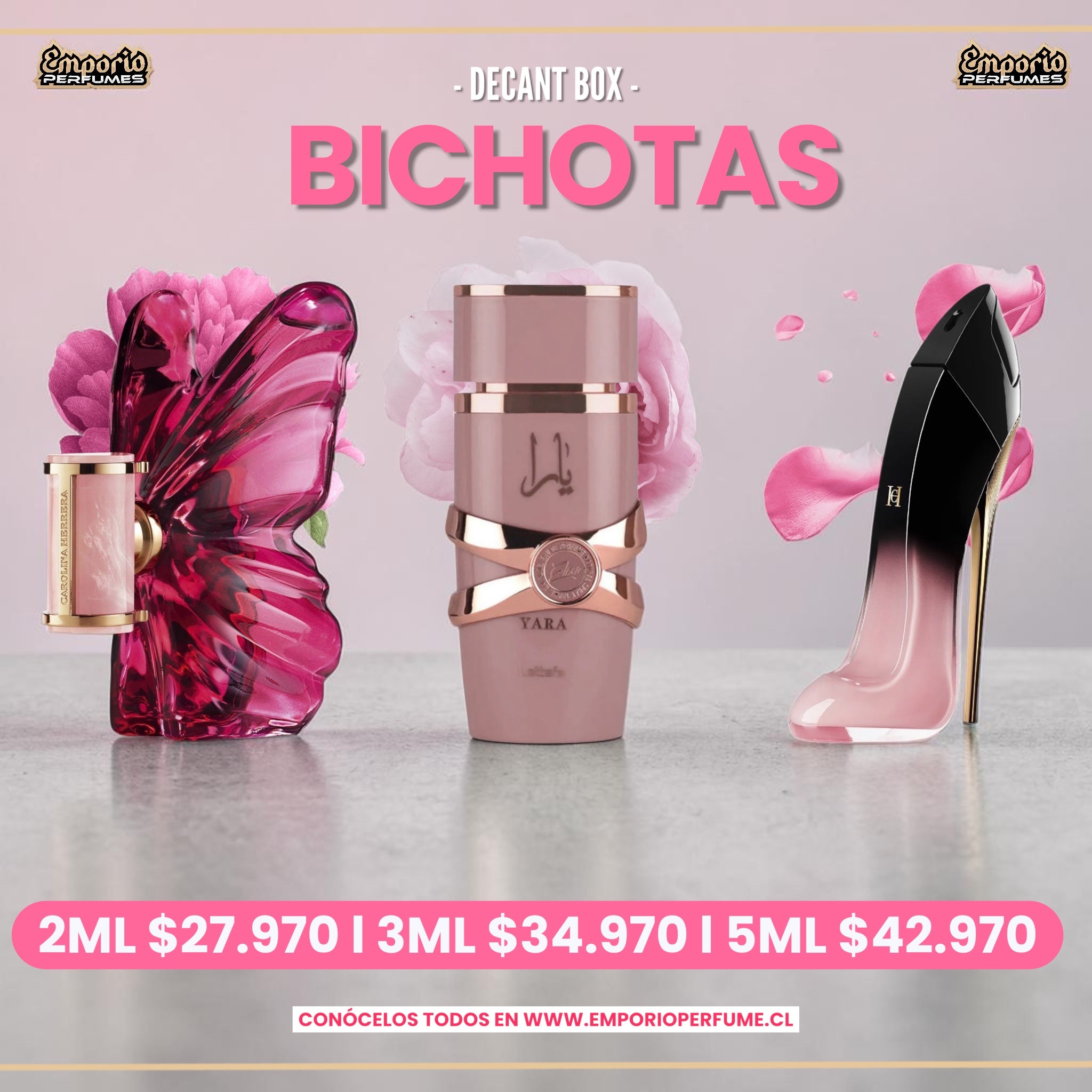 DECANTS BOX “ BICHOTAS “