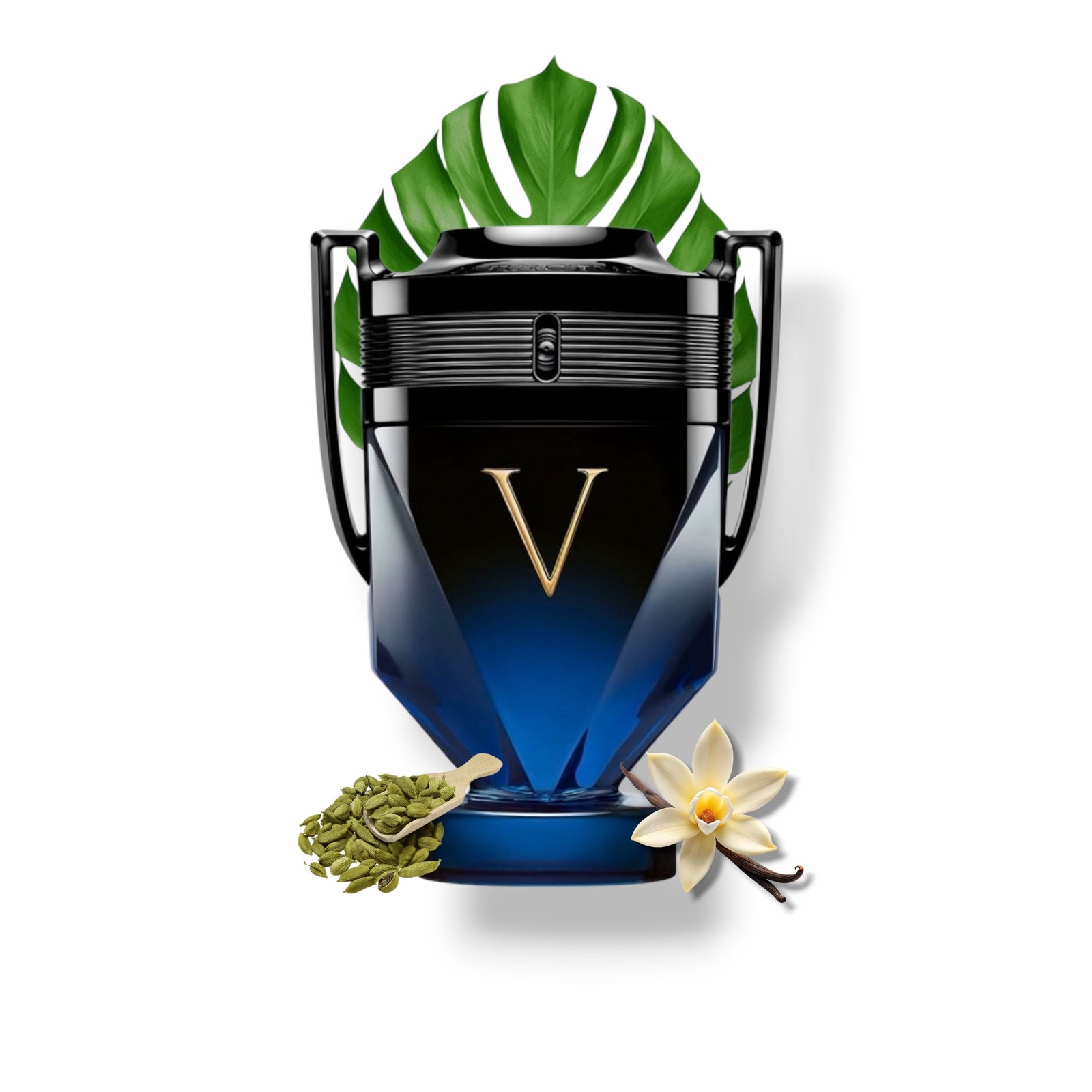Decants de  Invictus " Glory Elixir "