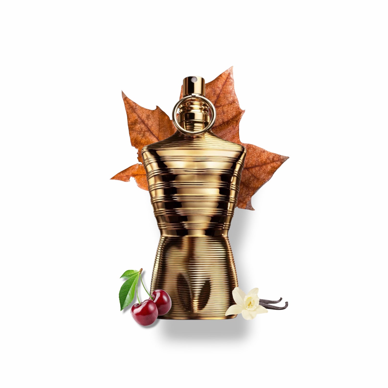 Decants de Jean Paul Gaultier  " Le Male Elixir Absolu "