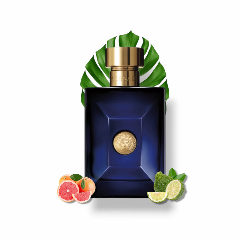 Decants de Versace " Pour Homme Dylan Blue "