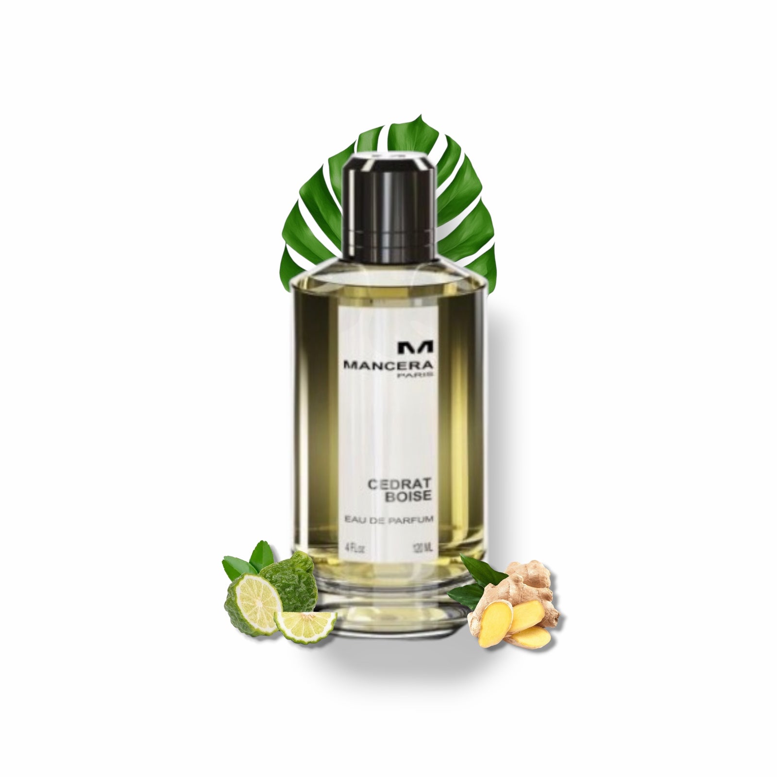 Decants de Mancera " Cedrat Boise Edp "