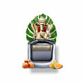 Decants de Jean Paul Gaultier " Scandal Pour homme edt " - emporioperfumes
