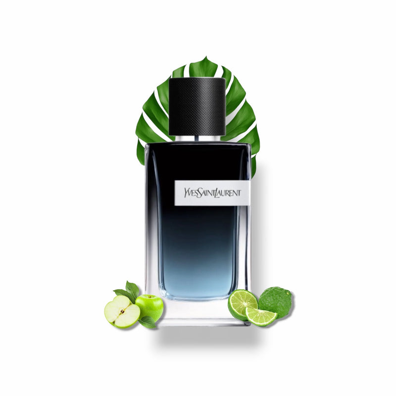 Decants de YveSaintLaurent EDP - emporioperfumes